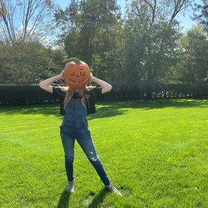 Meet your Posher, Phoebe